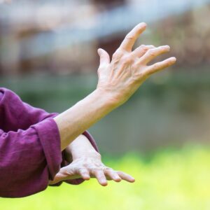 tai chi en durango bizkaia