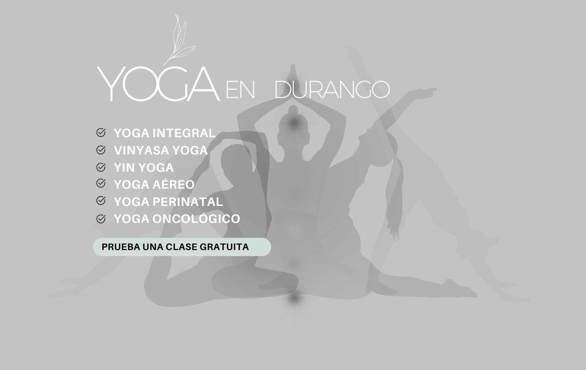 clases de yoga en durango para todos los niveles yoga areo