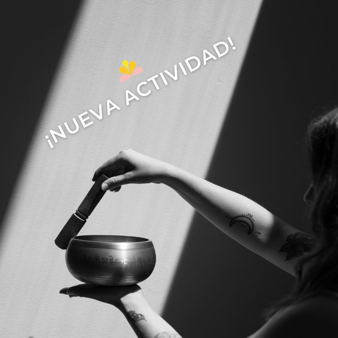 Yoga y movimiento para personas mayores en durango